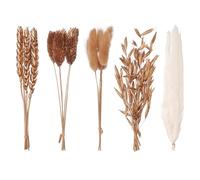 The Baked Studio - Original Dried Mixed Flower Cake Decoration Set | Pampas, Oats, Wheat, Lagurus Bunny Tails & Phalaris | Floral Cake Topper Arrangement for Cakes, Cupcakes & Craft Projects (Gold)