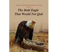 The Bald Eagle That Would Not Quit