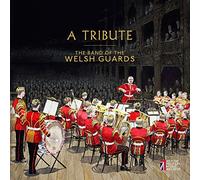 The Band Of The Welsh Guards - A Tribute