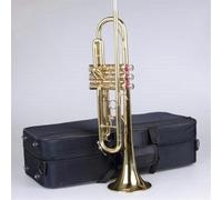 The band professionally plays brass instruments, trumpet, lacquer gold brass trumpet with flat tone(01)