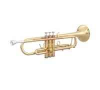 The band professionally plays brass instruments, trumpet, lacquer gold brass trumpet with flat tone(02)