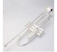 The band professionally plays brass instruments, trumpet, lacquer gold brass trumpet with flat tone(03)