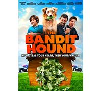 The Bandit Hound