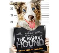 The Bandit Hound