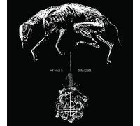 The Banner - Greying