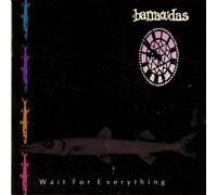 The Barracudas - Wait for everything