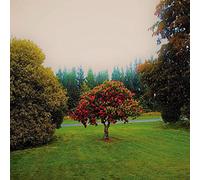 The Bats - Foothills [VINYL]