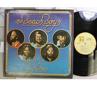 The Beach Boys - 15 big ones LP