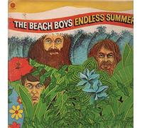 The Beach Boys - Endless Summer [Vinyl LP]