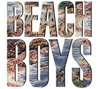 The Beach Boys : The Beach Boys Vinyl 12" Album (2015) NEW Amazing Value