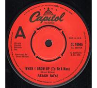 The Beach Boys - When I Grow Up (To Be A Man)