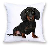 The Beach Stop Decorative Dachshund Dog Scatter Cushion Cover | Home Decor Inspo | Gift Idea for Sausage Dog Lovers | 45x45cm 18x18” | Sitting Dachshund Puppy