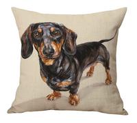 The Beach Stop Decorative Dapple Dachshund Dog Scatter Cushion Cover | Home Decor Inspo | Gift Idea for Sausage Dog Lovers | 45x45cm 18x18” | Dachshund Portrait