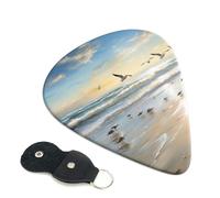 The Beach With Sea Birds Guitar Pickfor Pickups For Acoustic Electric Guitar Bass Ukulele