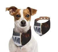 The Bear by the River Double Sided Dog Bandanas - Cotton Reversible Pet Scarf for Small Large Dogs - Unique Print Puppy Accessories
