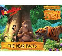 The Bear Facts