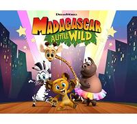 The Bear Necessities