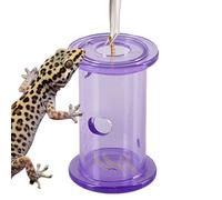 The Bearded Dragon Interactive Slow Feed Rolling Cylinder