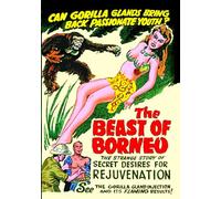 The Beast of Borneo (DVD-R) (1933) (All Regions) (NTSC) (US Import) [Region 1]