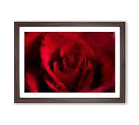The Beauty of a Red Rose in Abstract Framed Print | A2 Walnut Framed Wall Art | Ready to Hang | Abstract Floral Picture | Living Room Bedroom Lounge Office