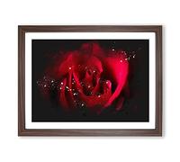 The Beauty Of A Red Rose Paint Splash Modern Art Framed Wall Art Print, Ready to Hang Picture for Living Room Bedroom Home Office Décor, Walnut A4 (34 x 25 cm)