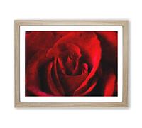 The Beauty Of A Red Rose Painting Modern Art Framed Print | A2 Oak Framed Wall Art | Ready to Hang | Modern Floral Picture | Living Room Bedroom Lounge Office