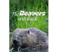 The Beavers Are Back