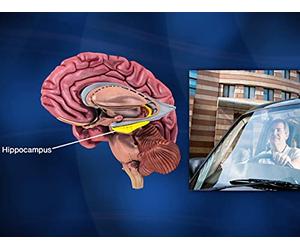 The Benefits of Bilingualism