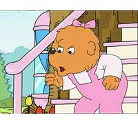 The Berenstain Bears and the Trouble With Pets