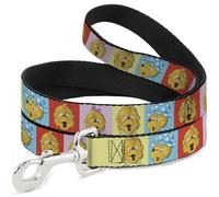 The Berenstain Bears Pet Leash, Dog Leash, The Berenstain Bears Smiling Face Blocks Multi Color, 4 Feet Long 1.0 Inch Wide