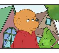 The Berenstain Bears Visit the Dentist
