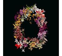 The Berg Sans Nipple - Build With Erosion