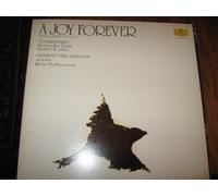 The Berlin Philharmonic - A Joy Forever