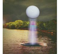 BESNARD LAKES - A COLISEUM COMPLEX MUSUEM - Vinyl Record - J3z