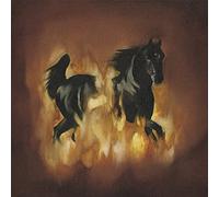 THE BESNARD LAKES - The Besnard Lakes Are The Dark Horse [VINYL]