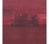 The Besnard Lakes - The Besnard Lakes are the Divine Wind