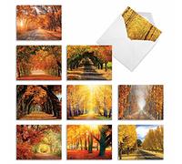 The Best Card Company - 10 Beautiful Note Cards Blank (4 x 5.12 Inch) - Fall and Autumn Season, Boxed Notecard Assortment - Fall Foliage M4971OCB-B1x10