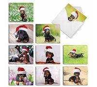 The Best Card Company - 20 Adorable Christmas Note Cards (4 x 5.12 Inch) - Bulk Puppy Dog Greetings, Assorted (10 Designs, 2 Each) - Dashing Dachshunds AM6829XSG-B2x10