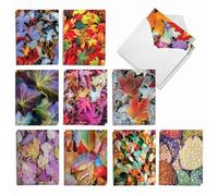 The Best Card Company - 20 Assorted Blank Plant Cards Boxed (4 x 5.12 Inch) (10 Designs, 2 Each) - Lavish Leaves AM7177OCB-B2x10