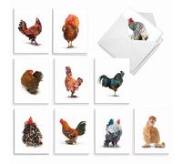 The Best Card Company - 20 Blank Birds Notes with Envelopes - All Occasion Chicken Assortment (10 Designs, 2 Each) - Exotic Roosters AM7059OCB-B2x10