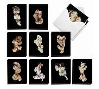 The Best Card Company - 20 Boxed Dog Cards with Envelopes (4 x 5.12 Inch) - Blank Assortment (10 Designs, 2 Each) - Little Under Dogs AM7184OCB-B2x10