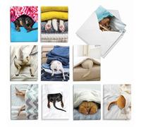 The Best Card Company - 20 Bulk Dog Note Cards Blank (4 x 5.12 Inch) - Adorable Pet Puppy Notecards (10 Designs, 2 Each) - Tattle Tails AM9279OCB-B2x10