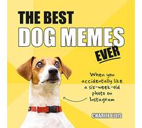 The Best Dog Memes Ever: The Funniest Relatable Memes as Told by Dogs
