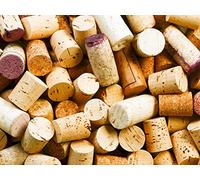 The Best of Australia and Tasmania