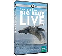 The Best of Big Blue Live [Region 1]
