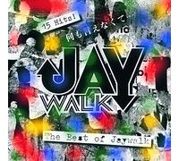 何も言いえなくて…~ THE BEST OF JAYWALK