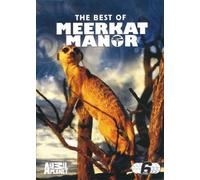 The Best Of Meerkat Manor