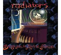 The Best Of The Radiators: Songs From The Ancient Furnace