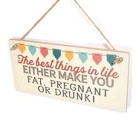 The Best Things in Life Either Make You Fat, Pregnant Or Drunk! - Funny Mother to Be Sign