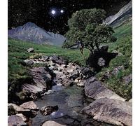 The Beta Band - The Beta Band